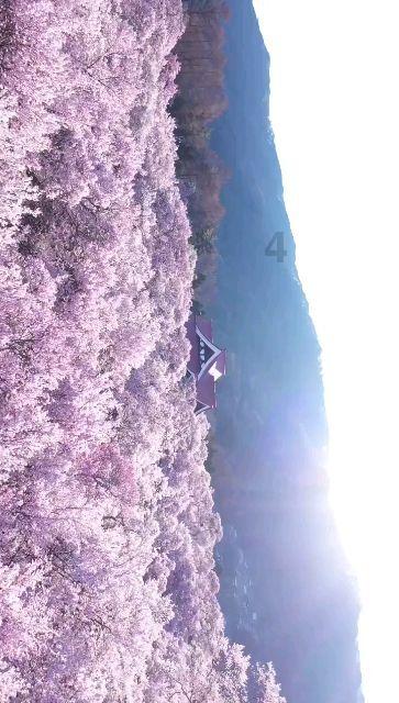 《幻兽帕鲁》2024年开年销量突破600万份
