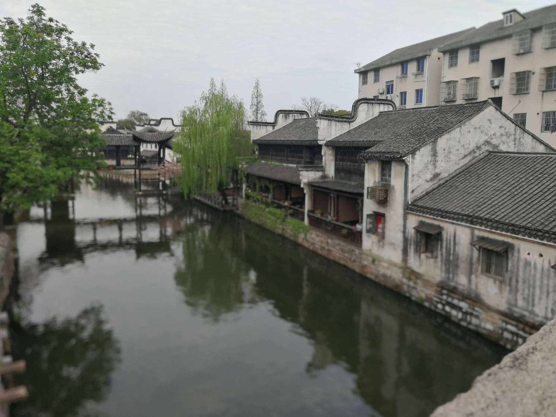 干猴头菇怎么泡发？游戏画面