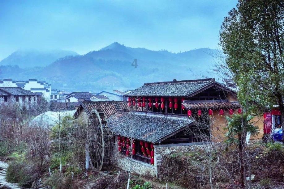 探索天涯,解答疑惑——真的会有人相爱一辈子吗?交流平台